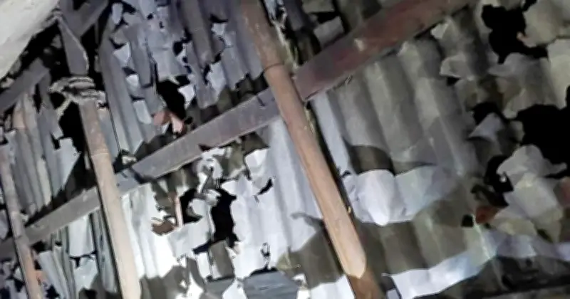 দিনাজপুরের ফুলবাড়ীতে শিলাবৃষ্টির তাণ্ডবে ফসল ও ঘরবাড়ির ব্যাপক ক্ষতি