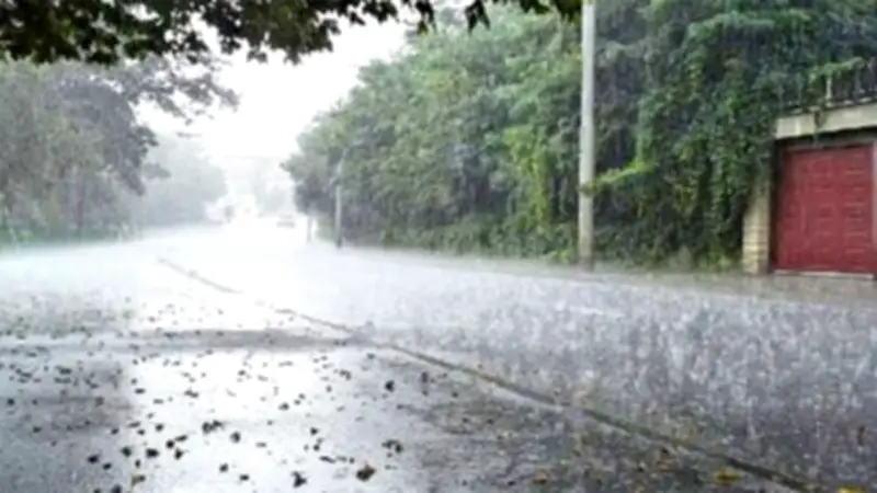 রাজধানীতে ঝড়-বৃষ্টির পূর্বাভাস, ভোটগ্রহণ ও নিরাপত্তা ব্যবস্থা নিয়ে গুরুত্বপূর্ণ খবর