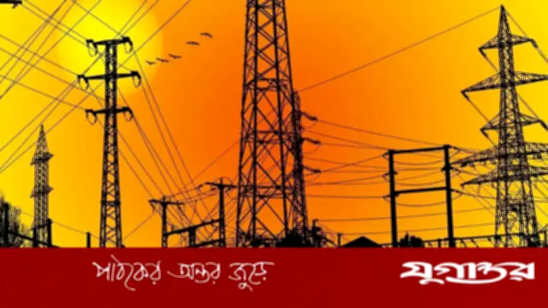 নাটোরে বিদ্যুৎ বন্ধ: গাছ ছাঁটাইয়ের কাজে আজ ৮ ঘণ্টা লোডশেডিং