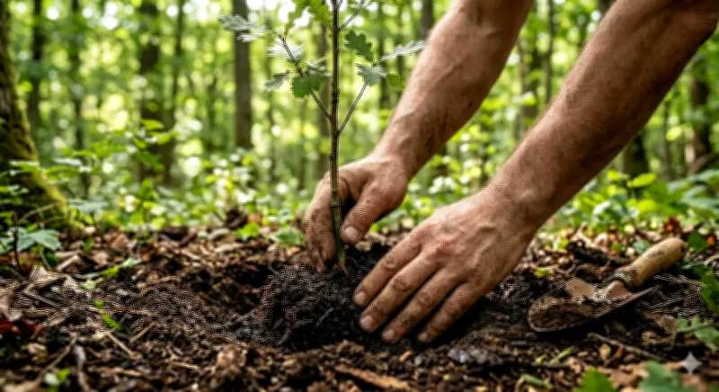 ২৫ কোটি বৃক্ষরোপণ: বন বিভাগের প্রকল্পে আশা ও চ্যালেঞ্জের সমন্বয়