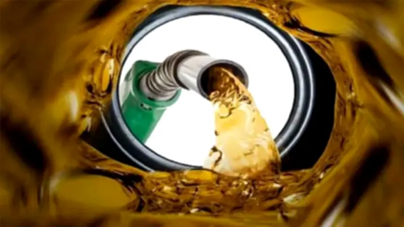 জ্বালানি মূল্য, নির্বাচনী ভোট, হত্যা রায় ও স্বাস্থ্য সংকট: এক নজরে দেশের গুরুত্বপূর্ণ খবর