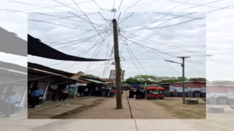 আত্রাইয়ে দুই যুগের বৈদ্যুতিক খুঁটি সংকট: জনসাধারণের ভোগান্তি অব্যাহত