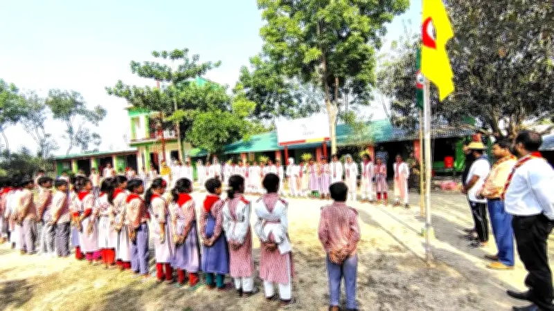 বাবুডাইং আলোর পাঠশালায় স্কাউটস দিবস পালন: পরিষ্কার-পরিচ্ছন্নতা অভিযান ও আলোচনা সভা