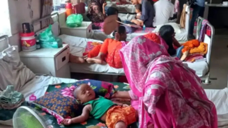 বাংলাদেশে হামের প্রাদুর্ভাব ও জ্বালানি সংকট: সরকারের চ্যালেঞ্জ ও পদক্ষেপ