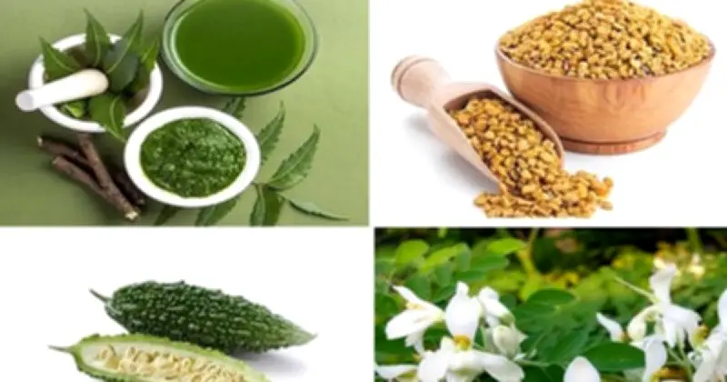 বাংলাদেশে ভূরিভোজের ঐতিহ্য: আধুনিকতার ছোঁয়ায় পরিবর্তনশীল রীতি