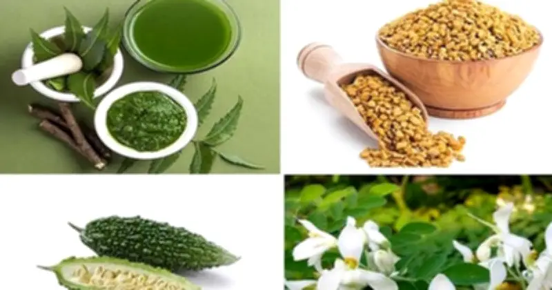 সংক্রান্তিতে তিতা খাওয়ার ঐতিহ্য: জীবন ও প্রকৃতির সঙ্গে মিলনের প্রতীক