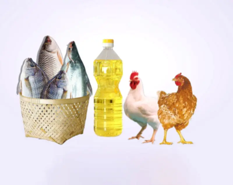 মাছ, মুরগি, সবজি থেকে তেলসহ নিত্যপণ্যের দাম বাড়ছে বাজারে