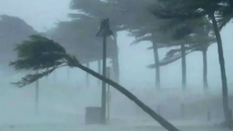 বিরল রোগে 'গেম অফ থ্রোনস' তারকার অকাল মৃত্যু, ইরানের সাবেক পররাষ্ট্রমন্ত্রী খারাজি মারা গেছেন