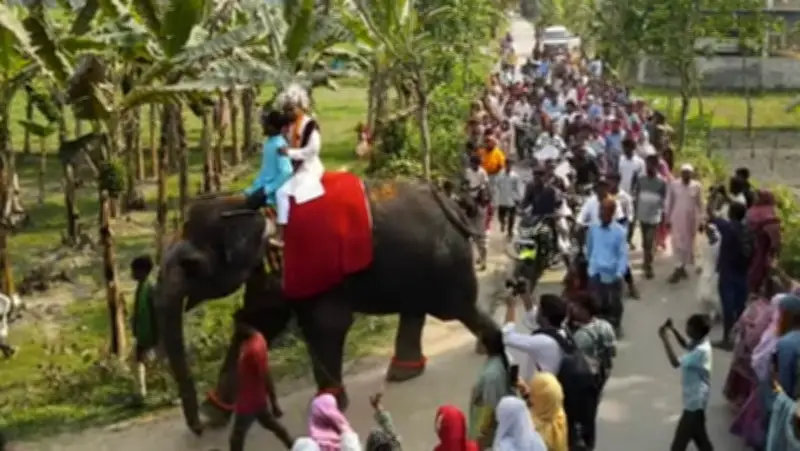 জয়পুরহাটে হাতির পিঠে বর ও ঘোড়ার গাড়িতে নববধূর ব্যতিক্রমী বিয়ে