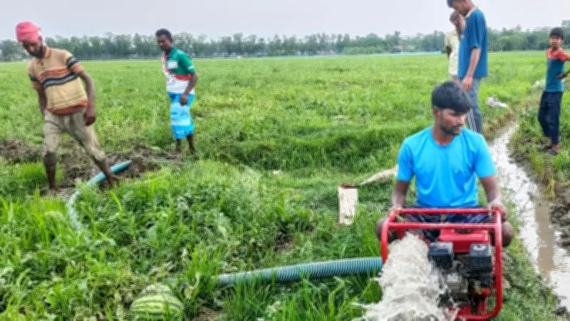 বৃষ্টিতে তরমুজ চাষিদের দুর্ভোগ: জ্বালানি সংকটে ব্যবসায়ীরা আসছেন না