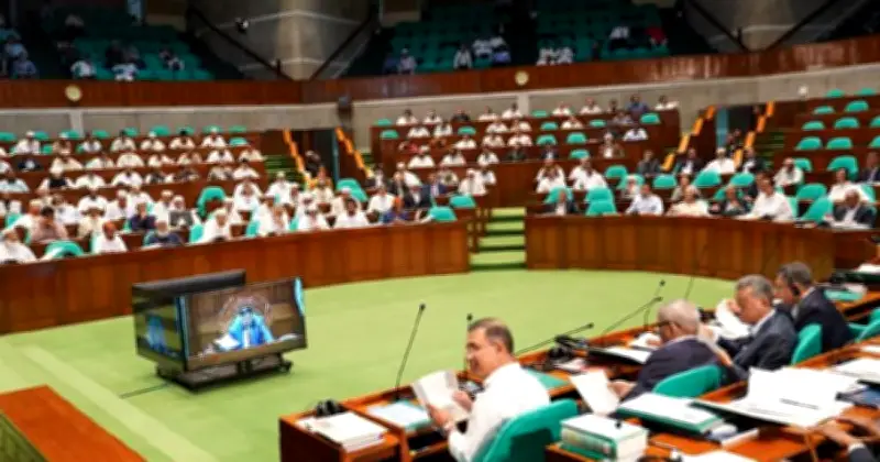সংসদে এক দিনে ২০টি বিল পাস, অন্তর্বর্তীকালীন সরকারের অধ্যাদেশগুলো আইনে রূপান্তর