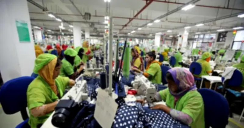 ইইউ বাজারে বাংলাদেশের তৈরি পোশাক রফতানি ৭% কমেছে, নতুন বাজারে সংকোচন ৮%