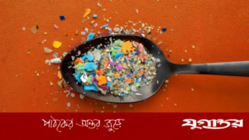 মাইক্রোপ্লাস্টিকের নীরব ঝুঁকি: দৈনন্দিন জীবনে অদৃশ্য বিপদ সম্পর্কে জানুন