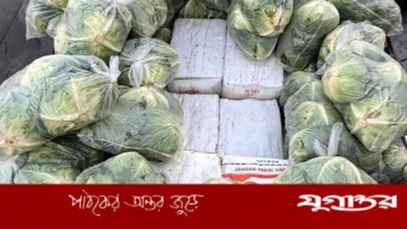 থাইল্যান্ডে বাঁধাকপির বস্তায় লুকিয়ে ১.৬ টন মাদক জব্দ, চালক গ্রেফতার