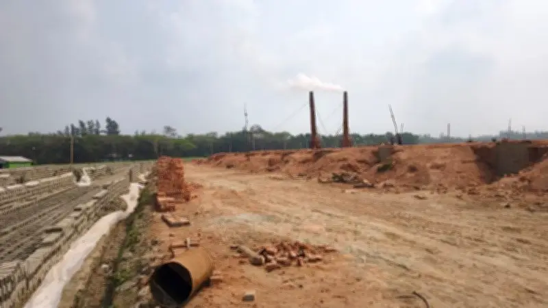 নোয়াখালীতে অবৈধ ইটভাটার দৌরাত্ম্য, প্রশাসন প্রশ্নের মুখে; ঢাকায় উদ্ধার ৮ ফুট লম্বা কিং কোবরা