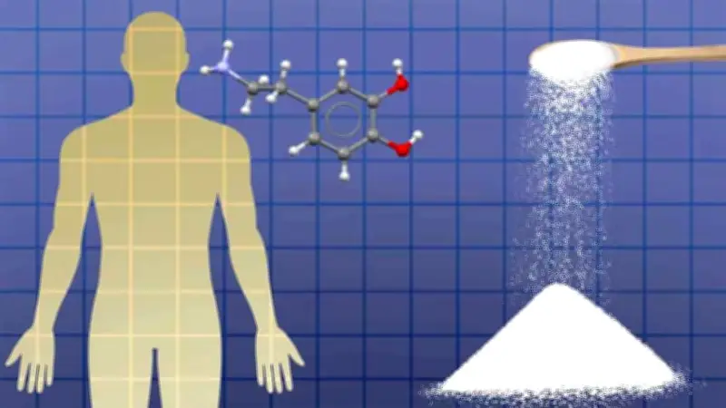 চিনি ছাড়ার ৭ দিন: শরীর-মস্তিষ্কের আমূল পরিবর্তন ও স্বাস্থ্য উপকারিতা