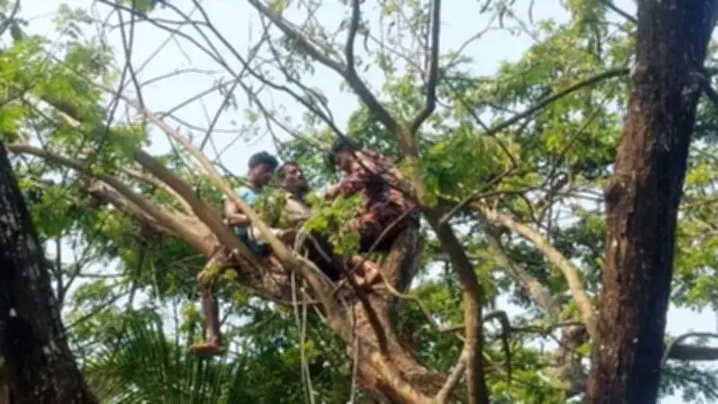 বৈশাখে কৃষক কার্ড উদ্বোধন, ট্রাম্প-ইরান আলোচনা ও বজ্রবৃষ্টির পূর্বাভাস