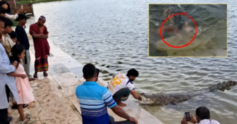 বাগেরহাটের মাজার দিঘিতে কুমিরের শিকারে কুকুরের মৃত্যু, ময়নাতদন্তে জলাতঙ্ক পরীক্ষা