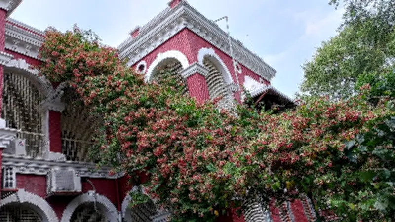 প্রকৃতির নান্দনিকতা থেকে যানজটের দুর্ভোগ: নাগরিক সংবাদের চিত্রমালায় বাংলাদেশের চিত্র