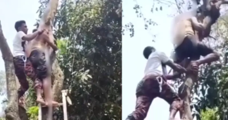 জামালপুরে বড়ই গাছের ডাল কাটতে গিয়ে অজ্ঞান শ্রমিকের উদ্ধার, ফায়ার সার্ভিসের তৎপরতা