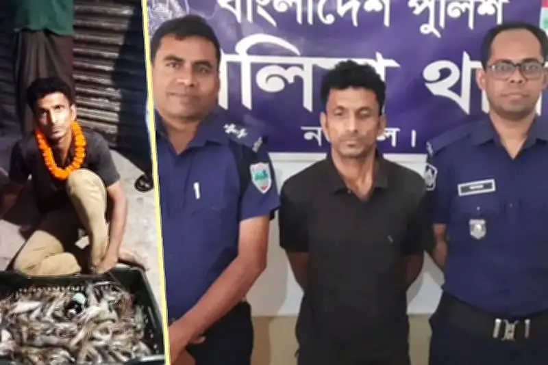 বাংলাদেশে অনলাইন শিক্ষার নতুন সম্ভাবনা: প্রযুক্তির মাধ্যমে শিক্ষার প্রসার