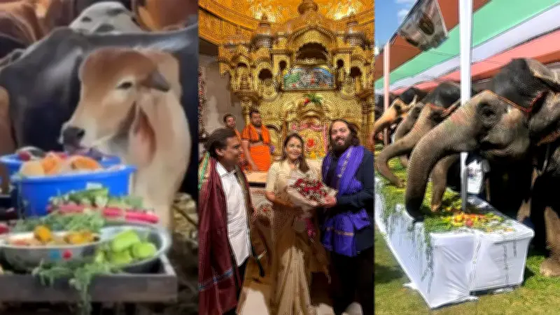 বাংলাদেশি অভিনেতা শাকিব খানের নতুন চলচ্চিত্র ‘রাজা বাবু’র শুটিং শুরু