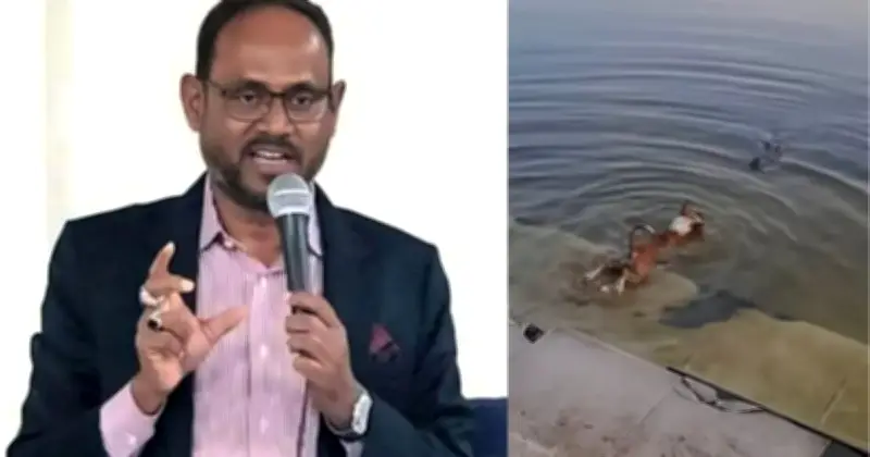 বাগেরহাটে কুমিরের মুখে কুকুরের মৃত্যু: মানবিকতা নিয়ে প্রশ্ন, তদন্ত কমিটি গঠন