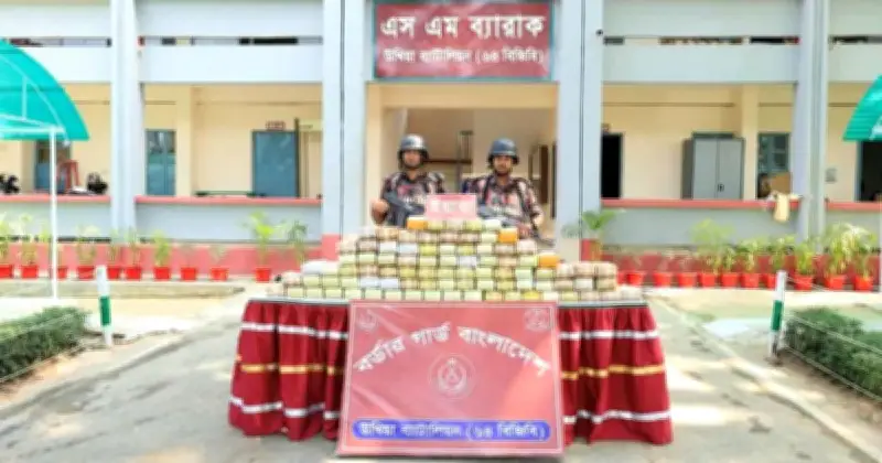 কক্সবাজার সীমান্তে ইয়াবা উদ্ধার: বিজিবির অভিযানে ১০ লাখের বেশি পিস জব্দ