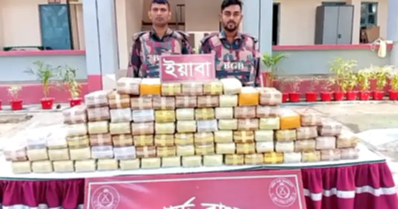 টেকনাফ সীমান্তে ইয়াবা পাচার রোধ, ৮ লাখ ৫৯ হাজার পিস জব্দ