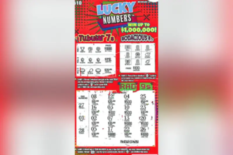 মিশিগানে ভ্রমণে গিয়ে ১০ লাখ ডলার জিতে নিলেন এক ব্যক্তি