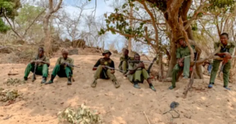 নাইজেরিয়ায় দস্যুদের চাঁদা দিতে অস্বীকৃতিতে রক্তক্ষয়ী সংঘর্ষ, নিহত ২১