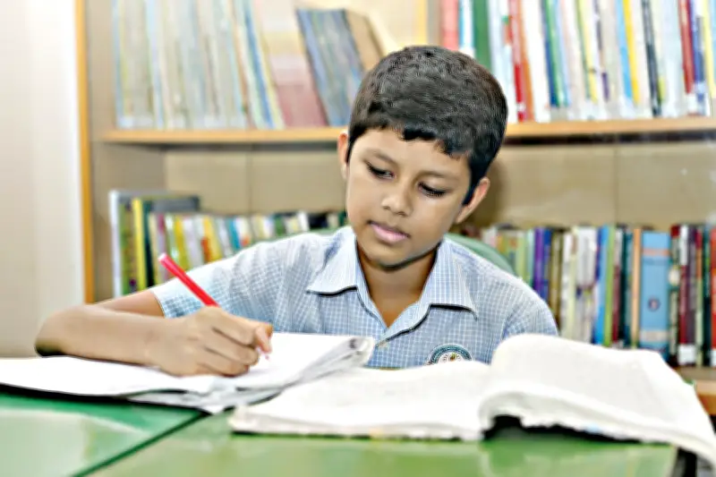 প্রাথমিক বৃত্তি পরীক্ষার ইংরেজি প্রস্তুতি: শর্ট কম্পোজিশনে নম্বর অর্জনের কৌশল