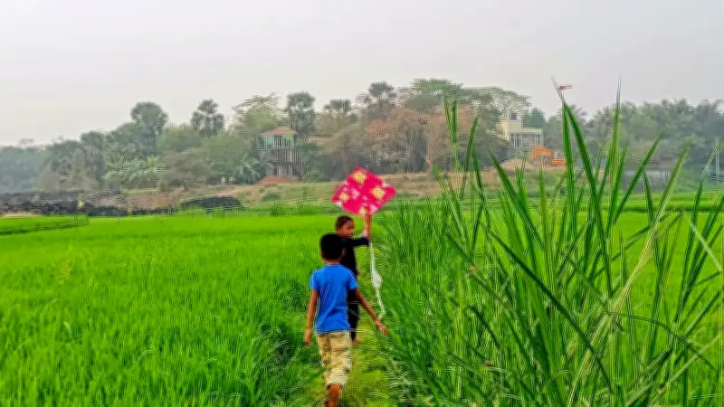 ঢাকার রিকশা থেকে সুন্দরবনের নৈসর্গ: নাগরিক জীবনের আটটি মুহূর্ত