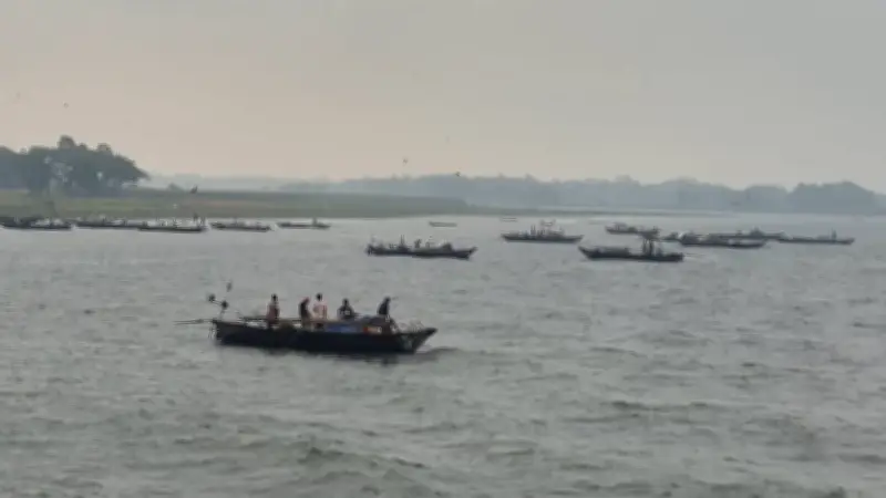 চাঁদপুরে ইলিশ ধরার নিষেধাজ্ঞা উপেক্ষা করে জেলেদের মহোৎসব চলছে