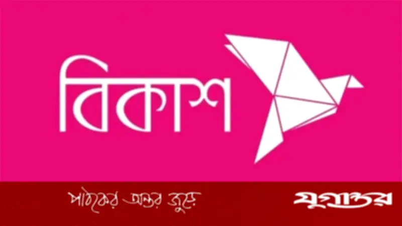 বিকাশে চাকরির সুযোগ: ডেপুটি জেনারেল ম্যানেজার পদে নিয়োগ, বয়সসীমা নেই