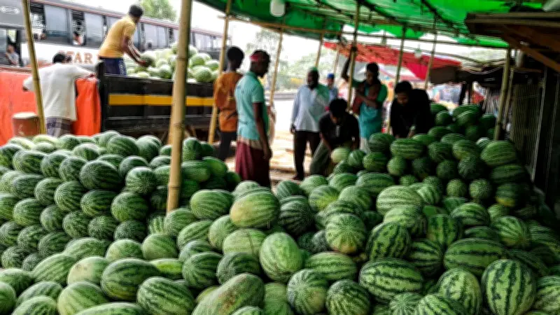 বাংলাদেশের প্রাকৃতিক সৌন্দর্য: ছবিতে ধরা পড়ল অপরূপ দৃশ্য