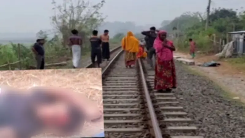 বিভিন্ন খবরের সমাহার: ক্রিকেটার নিষিদ্ধ, কৃষকের স্বপ্ন, এমবাপে অনুপস্থিতি, মেট্রো বন্ধ, আইনমন্ত্রীর জানাজা, মাদক হত্যা, গণভোটের হুঁশিয়ারি