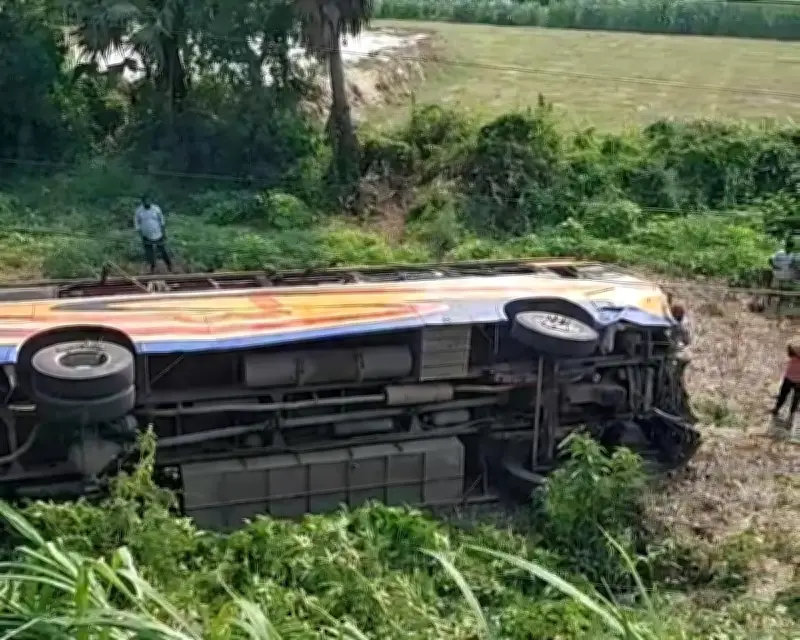 ফরিদপুরের ভাঙ্গায় সড়ক দুর্ঘটনায় ২ নিহত, ২৯ আহত