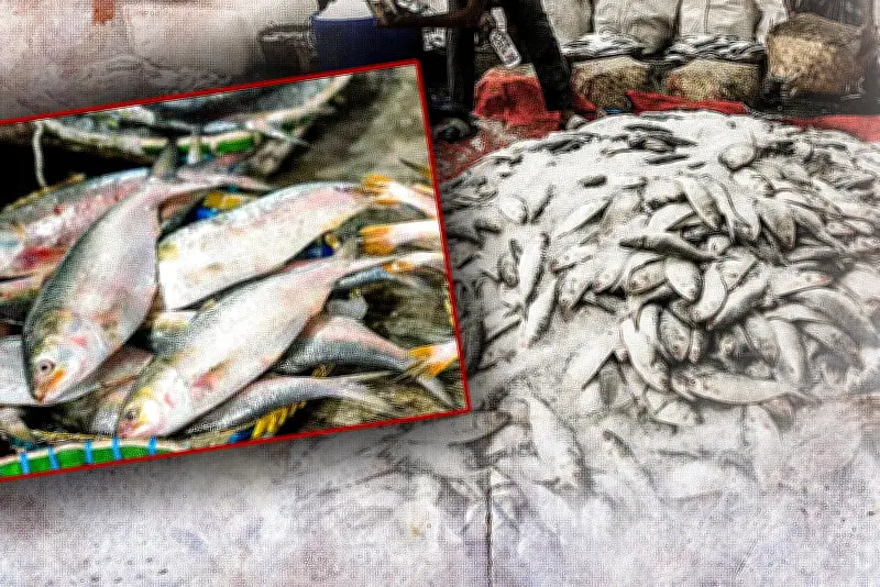 বাংলাদেশে অনলাইন শিক্ষার অগ্রগতি: ডিজিটাল প্ল্যাটফর্মে শিক্ষার্থীদের অংশগ্রহণ বৃদ্ধি