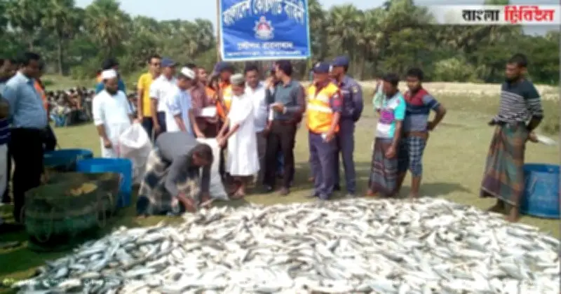 পহেলা বৈশাখে ইলিশের চাহিদা ও দাম বৃদ্ধি: জাটকা নিধন ও উৎপাদন সংকটের প্রভাব