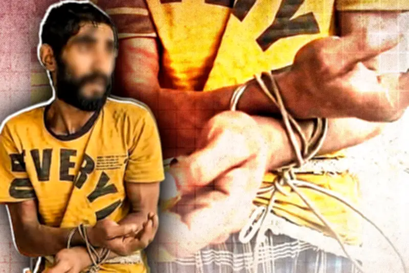 বাংলাদেশে অনলাইন শিক্ষার প্রসারে নতুন উদ্যোগ: ডিজিটাল প্ল্যাটফর্মের মাধ্যমে শিক্ষার্থীদের জন্য সুযোগ বৃদ্ধি