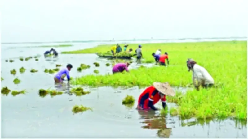 পহেলা বৈশাখ: বাঙালির সংস্কৃতি, সংকট ও আত্মপরিচয়ের লড়াইয়ের উৎসব