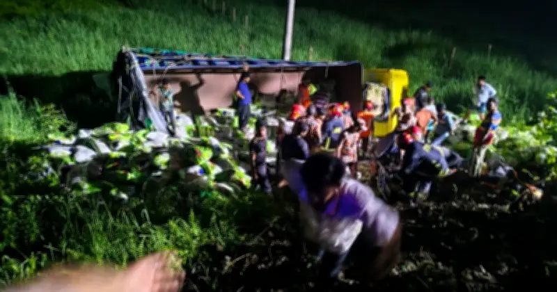 কুমিল্লার দাউদকান্দিতে চালবোঝাই ট্রাক দুর্ঘটনায় সাত জন নিহত, ছয় জন আহত