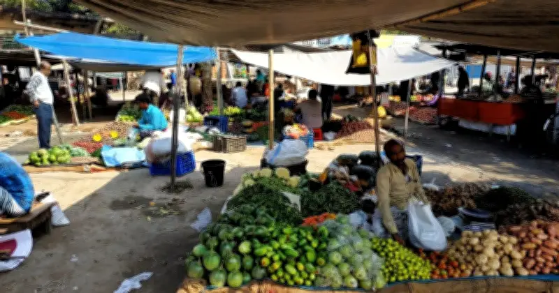 চাঁদপুরের ৪৫ বাজারে বৈশাখ থেকে খাজনা আদায় বন্ধ, এমপি মমিনুল হকের উদ্যোগ