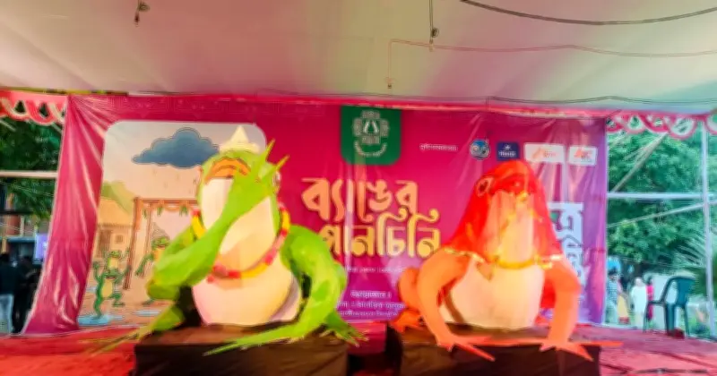 জাহাঙ্গীরনাগর বিশ্ববিদ্যালয়ে বর্ষা কামনায় অনুষ্ঠিত হলো ঐতিহ্যবাহী 'ব্যাঙ পাঁচনি' বিবাহ