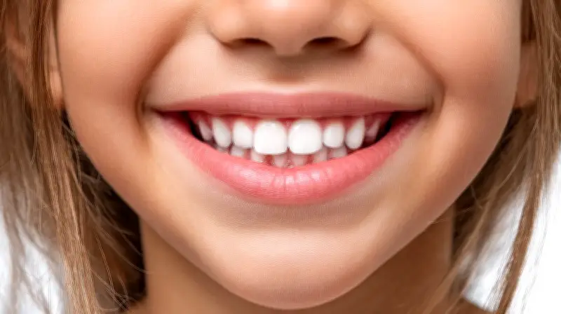 দাঁত ও হাড়ের মিল থাকা সত্ত্বেও কেন দাঁত কঙ্কালতন্ত্রের অংশ নয়?