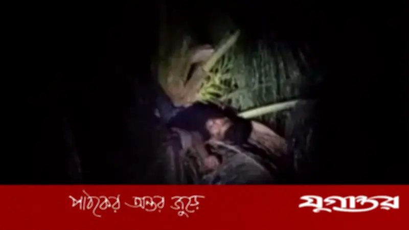 মাদারীপুরে মধ্যরাতে নারকেল গাছের চূড়ায় কলেজছাত্র, উদ্ধারে ফায়ার সার্ভিস