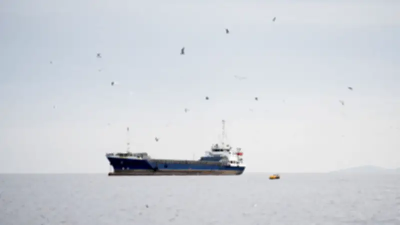 বগুড়া মডেল জেলা হবে, শিক্ষামন্ত্রীর প্রণোদনা বাড়ানোর আশ্বাস