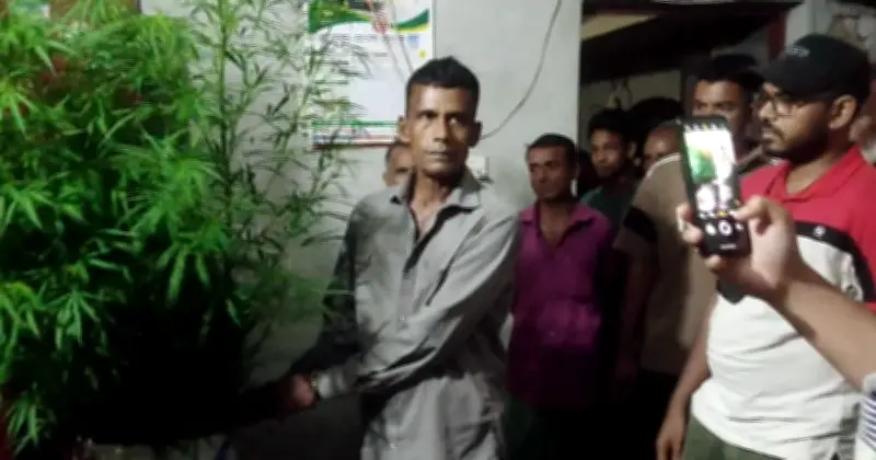 বরিশালে বাড়ির আঙিনায় গাঁজা চাষের অভিযোগে জামাল বেপারী গ্রেপ্তার