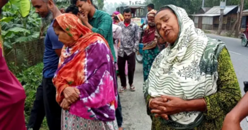 নীলফামারীতে ট্রাকের ধাক্কায় দুই ভাই নিহত, মা-সহ আহত তিনজন